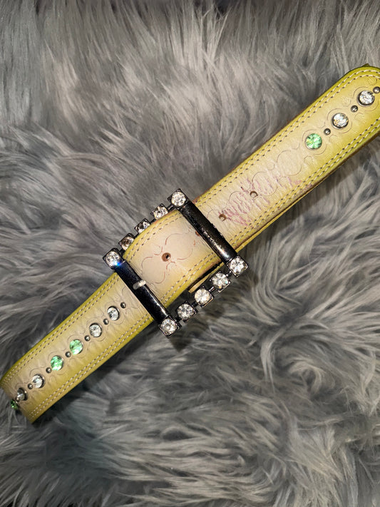 Vintage Shining Belt
