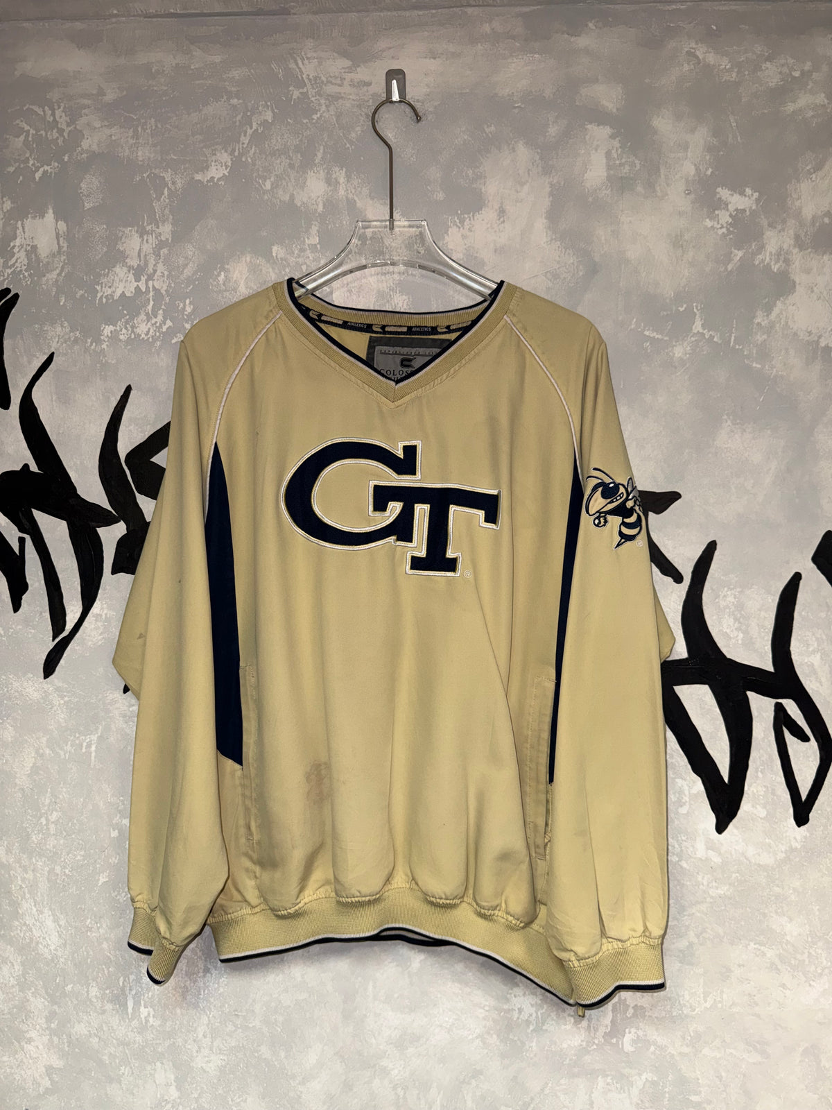 Vintage Pullover Sweatshirt (GT)